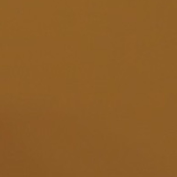 Meet your Posher, Maanya - Picture 1 of 1